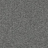 Axam Layering Turtleneck - Organic Ribbed Pima Cotton :: Charcoal